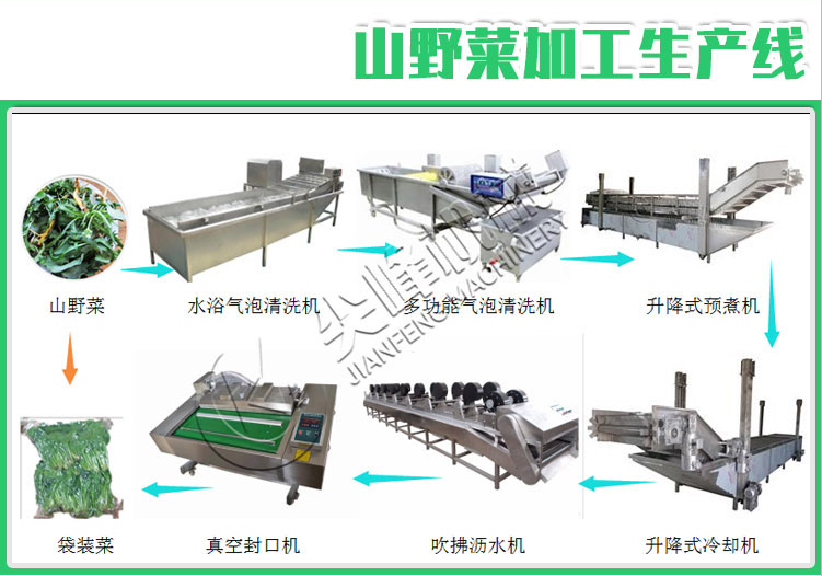 葉菜類鮮切凈菜加工設備